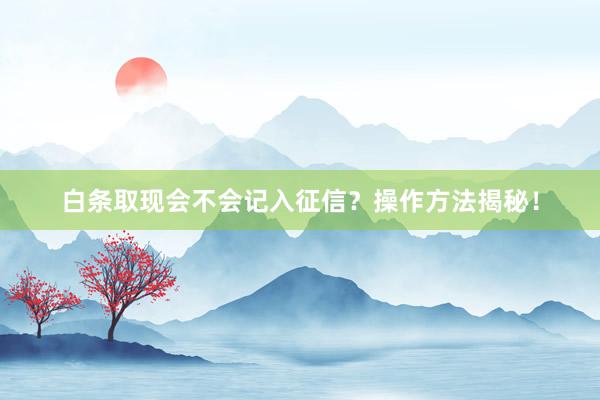 白条取现会不会记入征信？操作方法揭秘！