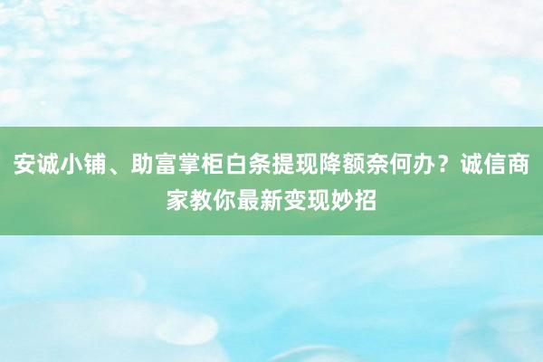 安诚小铺、助富掌柜白条提现降额奈何办？诚信商家教你最新变现妙招